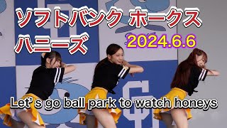 【かわいい②★ 福岡ソフトバンクホークス★プロ野球交流戦★ハニーズ＠ナゴヤドーム202466】 [upl. by Gnuy]