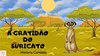 A gratidão do Suricato  História Contada [upl. by Lenrad]