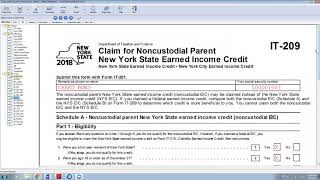 Noncustodial Parent New York State Earned Income Credit [upl. by Poyssick]