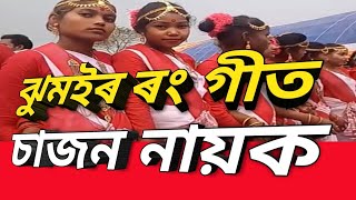 খেমটা ৰং গীত KhamtaRang Cha Gaser Maje majeby Sajan Nayak [upl. by Pega464]