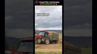 MASSEY FERGUSON 2615 🔥tthuseyinkendir10masseyfurguson [upl. by Debra]