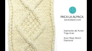 Aran Moss Stitch Diamond [upl. by Jacintha748]