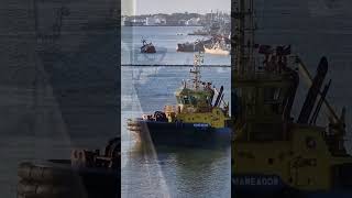 View on Puerto Madryn Patagonia Argentina Cruise Port [upl. by Merrick]