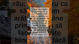 2 Corinteni 137  Versetul tău zilnic fyp reel music viral together God Bible [upl. by Adiari]