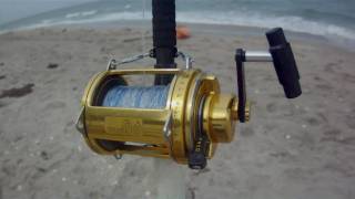 Shark Fishing Tips  How to Set the Drag [upl. by Ennylhsa]