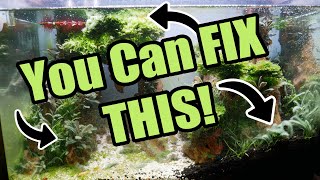 How to ELIMINATE ALL ALGAE from an Aquarium  Dragon Valley 20 REVIVAL [upl. by Friedlander]