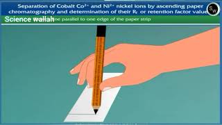 Paper chromatography Class 11 Chemistry Practical [upl. by Adnohsed8]