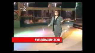 NEŞE KARABÖCEK  NE SİSLER NE FIRTINALAR 1991 [upl. by Nnalyrehs]