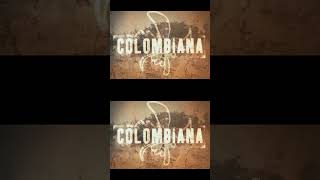 Cataleya by Zoe Saldana “Colombiana” movie film action review thriller [upl. by Lehmann647]