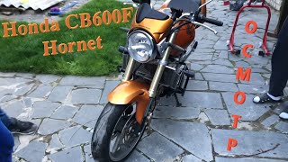 Мотоподбор Осмотр и оценка Honda CB600F Hornet 2005 года Живая легенда [upl. by Airdnekal369]