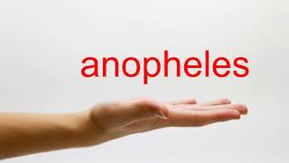 How to Pronounce anopheles  American English [upl. by Ettezzil]