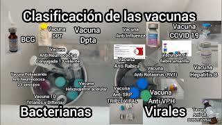 Clasificación de las Vacunas Bacterianas y Virales [upl. by Lorsung354]