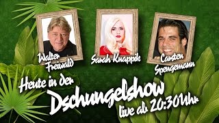 Die große BILDDschungelshow im LiveStream  15012016  Knappik Freiwald Spengemann [upl. by Ozzie81]