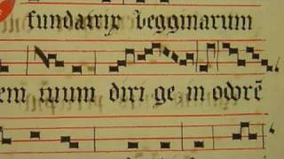 O fundatrix begginarum Gregorian Chant by Chant Group Psallentes [upl. by Ahsenar]