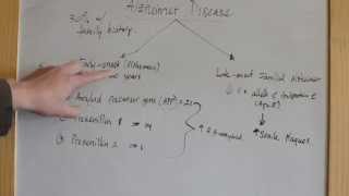 Alzheimer Disease  genetic predisposition  USMLE Step 1 Review [upl. by Bik7]