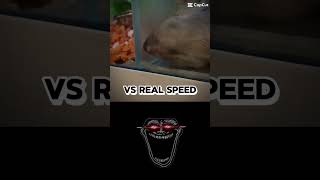 Fake speed vs real speed kenlee [upl. by Bohrer183]