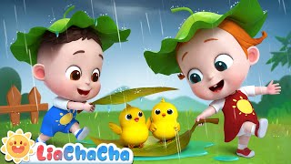 Baby Animals Play in the Rain  Rain Rain Go Away  Kids Songs amp Nursery Rhymes  LiaChaCha [upl. by Pulsifer25]