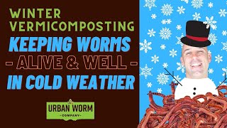 Vermicomposting in Winter 7 Simple Tips to Save Your Worm Bin From the Cold [upl. by Kyle]