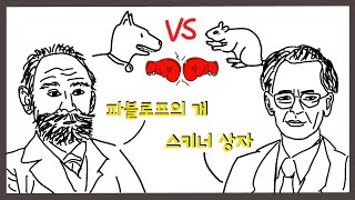 학습에도 심리학이 있다  심리학과에서 배우는 학습심리학feat 파블로프 스키너 [upl. by Liliane]