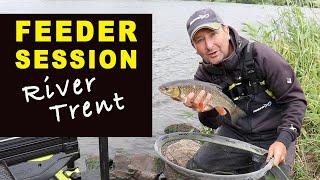 FEEDER FISHING Session River TRENT  Match Fishing Videos July 2020 [upl. by Morey]