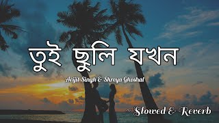 Tui Chhnuli Jokhon তুই ছুঁলি যখন  Mekhla Dasgupta  Utpal Das  Jayanta Biswas  Arnab Anupam [upl. by Housum635]