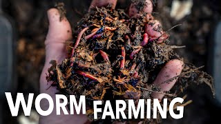 Vermicompost and Worm Breeding at Any Scale  Arizona Worm Farm [upl. by Haimaj8]