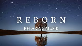 New Relaxing Music  Relaxing Guitar and Piano  Release Stress  Reborn [upl. by Jueta334]