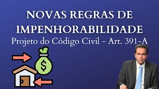 Novas regras de Penhorabilidade  Penhora de Salário  Penhora da Casa  Projeto do Código Civil [upl. by Dimitry110]