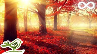 Beautiful Romantic Music Relaxing Music Piano Music Violin Music Guitar Music Sleep Music ★101 [upl. by Maxie]