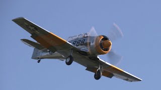 Wheels on Grass Iconic Warbirds Nail Perfect Landings [upl. by Emmott]