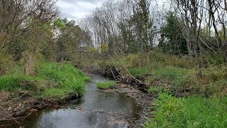 Poor Farm Brook Worcester MA [upl. by Jueta]