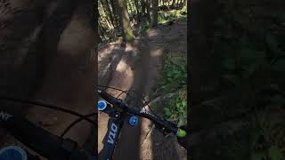 LA ROOTS BIKEPARK LAC BLANC Wie geil kann ein Trail sein Genial gebaut [upl. by Gurolinick]