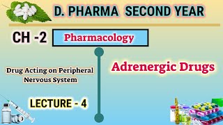 Adrenergic drugs  CH2  L4  Pharmacology  DPharm second year [upl. by Slohcin432]