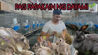 Rabbit Farming ngayong 2023 [upl. by Torbert]