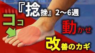 【捻挫リハビリ➁】『足の動き』改善と『荷重トレーニング』が捻挫後2〜6週の「改善のカギ」 [upl. by Gambell]