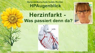 Herzinfarkt  Was passiert denn da [upl. by Huskey]