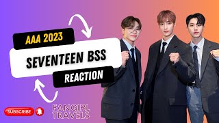 Raw Reaction to SEVENTEEN BSS [upl. by Ynez64]