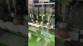 Filler flow metric GI400Mass slow motion filling Riempitrice massica GI400mass [upl. by Ednarb454]