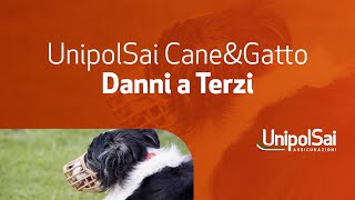 UnipolSai CneampGtto  Danni a Terzi [upl. by Ayna]