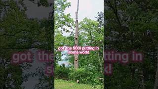 THE MOST DANGEROUS TREE REMOVAL YET MS500i VS 100Ft oakchainsaw 500i treeservice dangerous [upl. by Motteo]