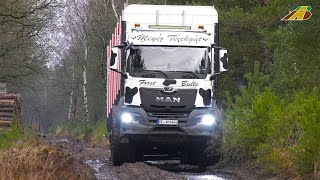 Großaktion Hackschnitzel Produktion Teil 1 Holzverladung im Wald  Holztransport mit Spezialfahrzeug [upl. by Kery239]