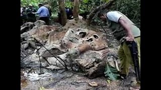 Notorious tusker quotDala Puttuwaquot found dead in Pallekele reserve English [upl. by Urbanus937]