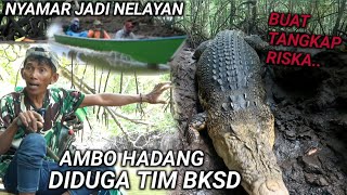 BUAYA RISKA DIPANTAU DIDUGA TIM BKSDA ❗KETANGKAP BASAH AMBO [upl. by Nauqad]