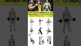 biceps workout biceps workout at gym biceps workout with dumbbells World’s FASTEST Biceps Workout [upl. by Carny]