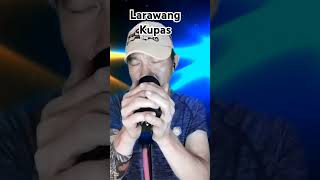 Larawang kupas shortvideo shorts RM [upl. by Yablon71]