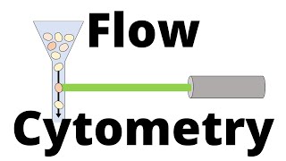 FLOW CYTOMETRY in 1 minute [upl. by Laise]