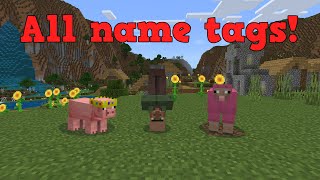 All special name tags in minecraft [upl. by Llerihs]