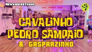 CAVALINHO  PEDRO SAMPAIO amp GASPARZINHO  ZUMBA  DANCE WORKOUT ZE TEAM 💜🖤 vibesstudio5668 [upl. by Raimundo]