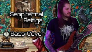 Sempiternal Beings  Haken Bass Cover [upl. by Corenda]