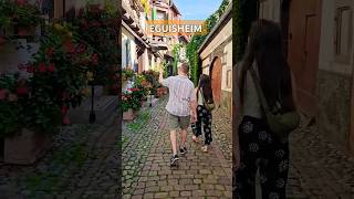 Eguisheim  France wine france waltz travel french vlog lifestyle life sunshine [upl. by Asirac]